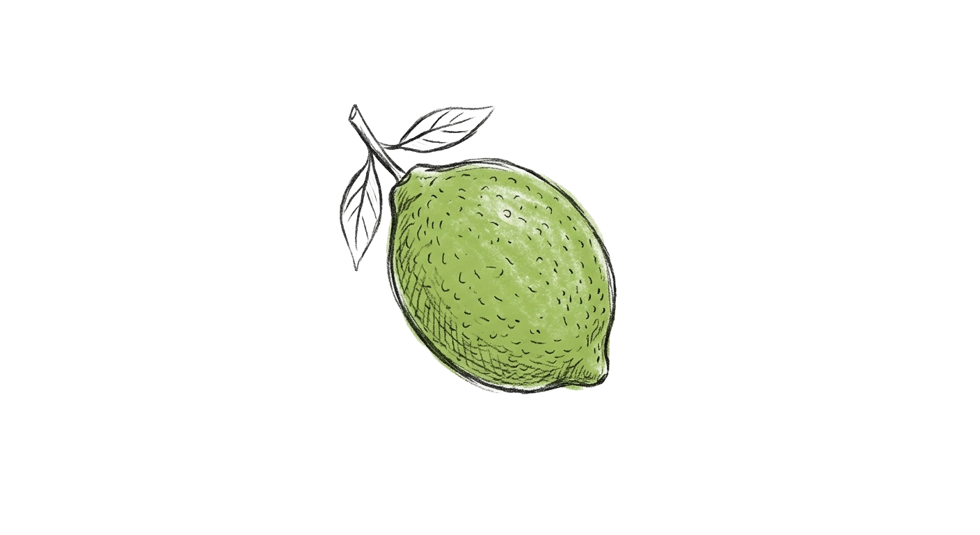 Outshine lime logo